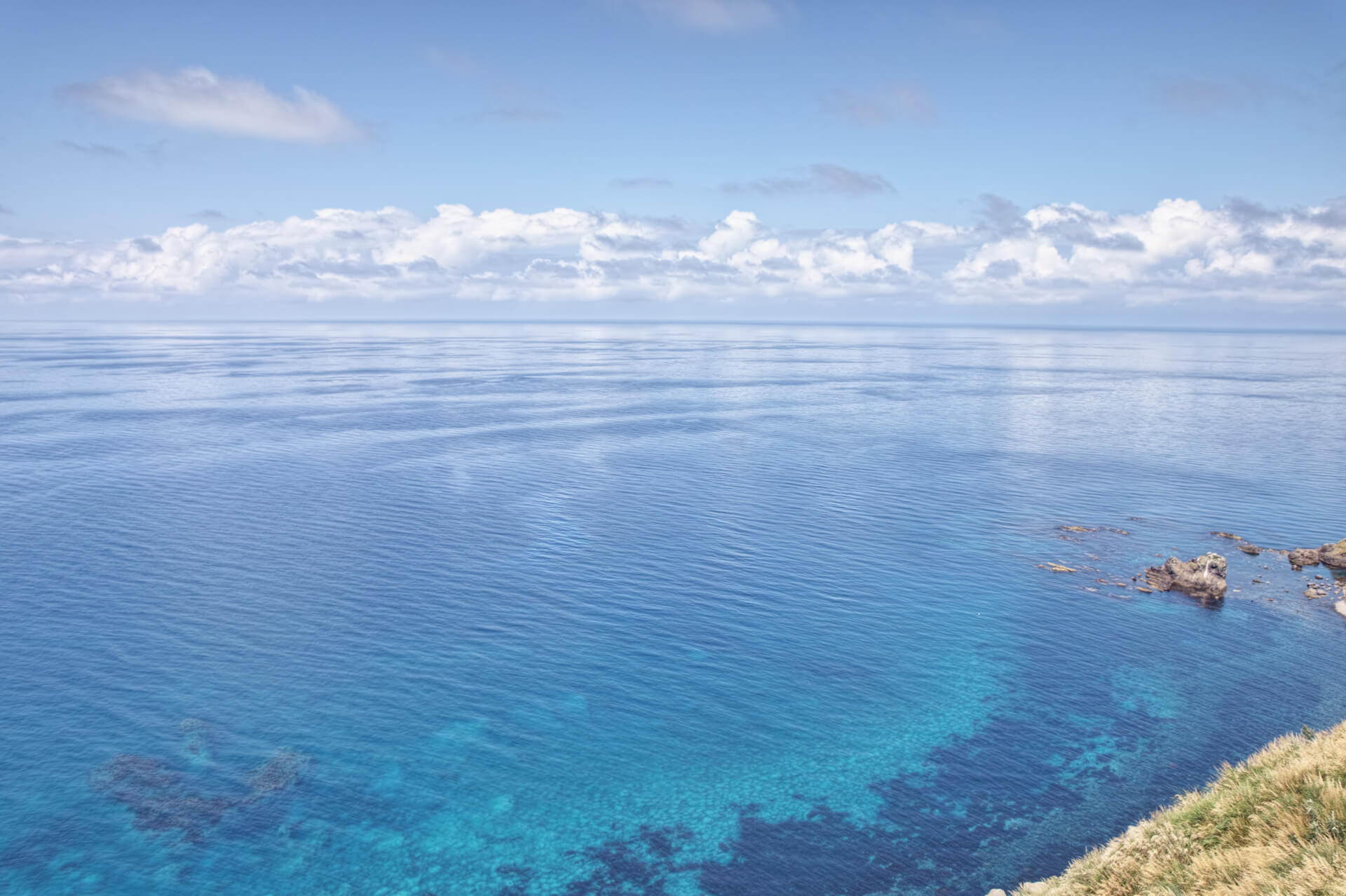 焼尻島の夏の写真