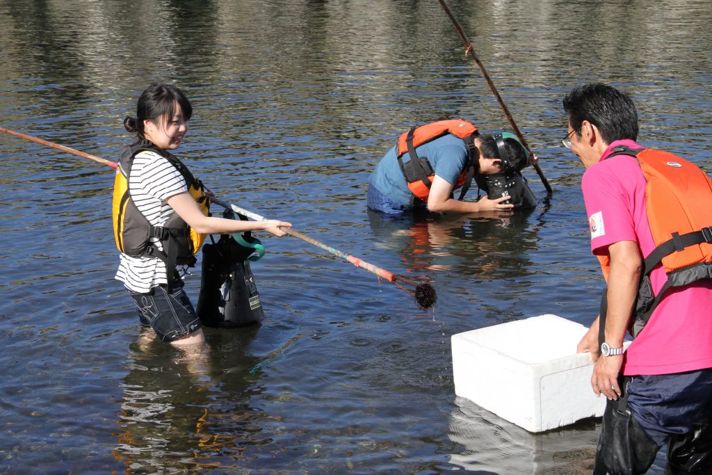 【ウニ採り体験】天売島おらが島活性化会議
