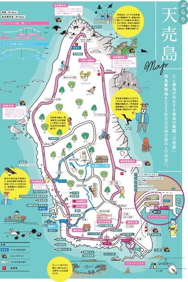 ぶらり天売島マップ