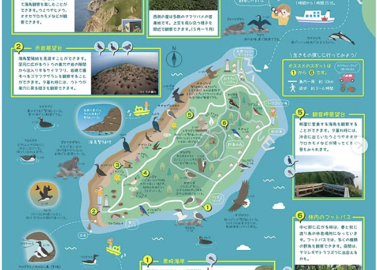 天売島の生きもの散策マップ※北海道海鳥センター