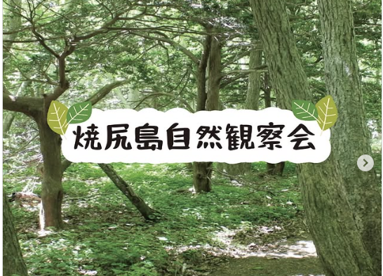 焼尻島自然観察会の参加者募集※北海道海鳥センター