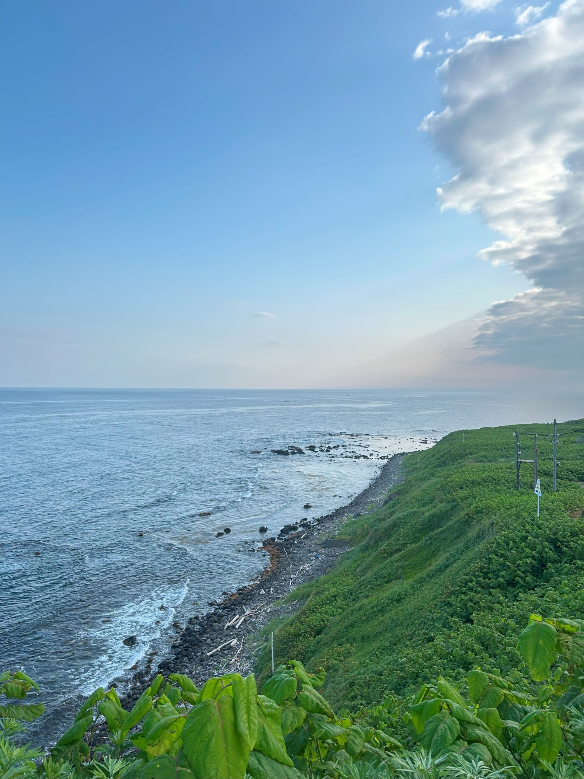 お値下げ★激レア、廃盤★ のほほん族 のんびり島の葉っぱ風車　他4点 焼尻島の水源林と人々の暮らし | 羽幌町観光協会 天売島・焼尻島 観光