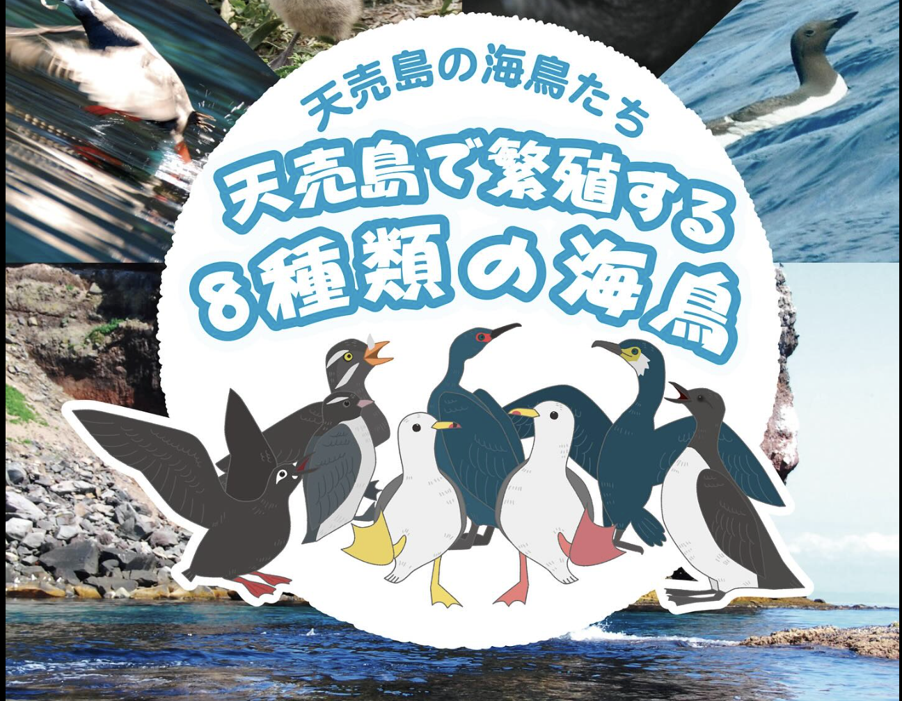 9222879e8ed86dd0b87ba17cdd3d0e