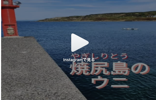 【焼尻島の藻場再生】