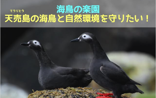 海鳥を守るふるさと納税　目標金額達成！ @北海道海鳥センター
