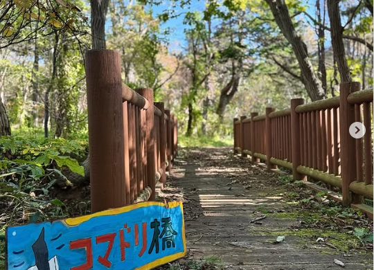 天売島にお越しの際は、島の中心に広がる @teuri.jp