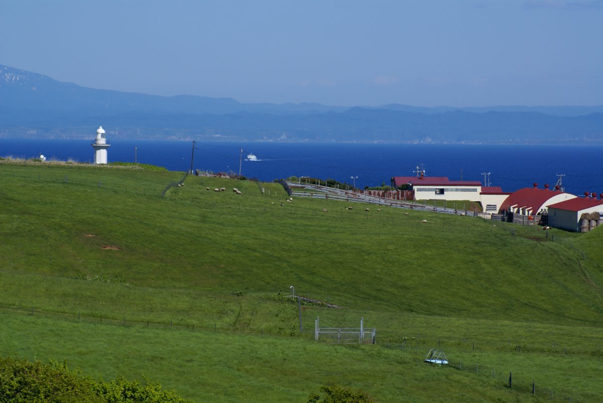 焼尻島物語　その８