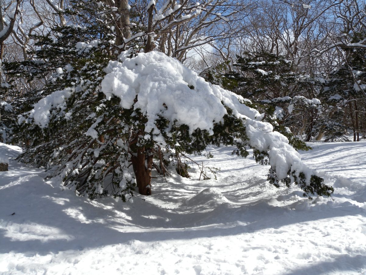 焼尻物語　その９