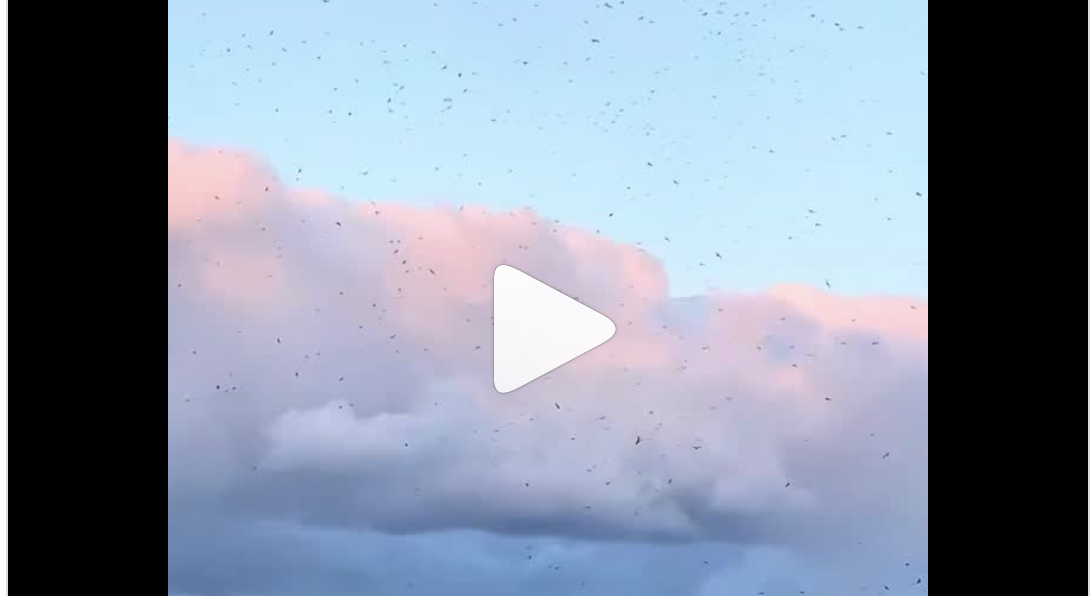 3月末、まだまだ雪も多く、@teuri.jp