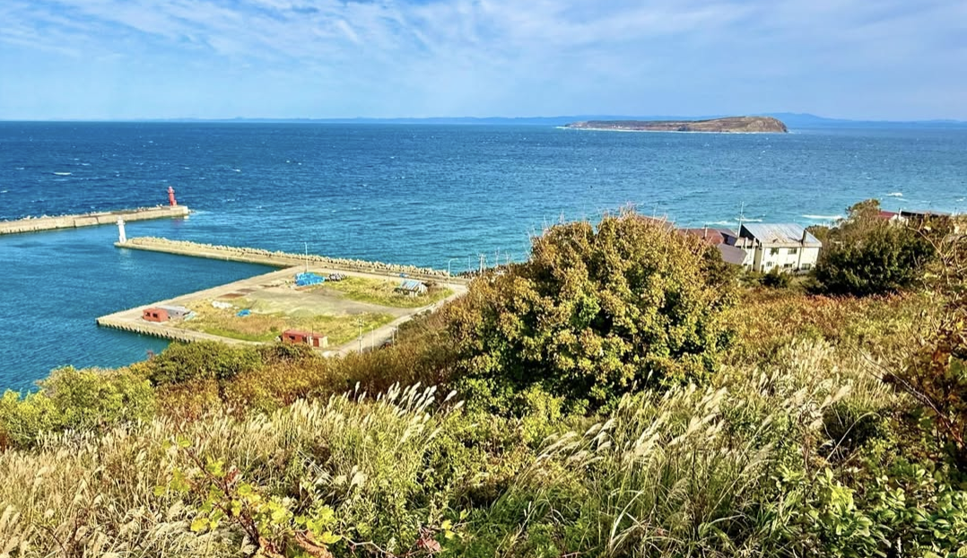 愛鳥の碑展望台から望む秋の天売港。@teuri.jp