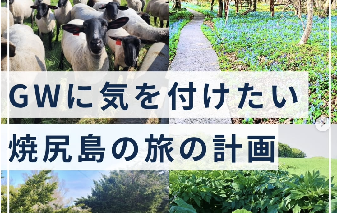 焼尻島あるある　@ゲストハウスやすんでけ