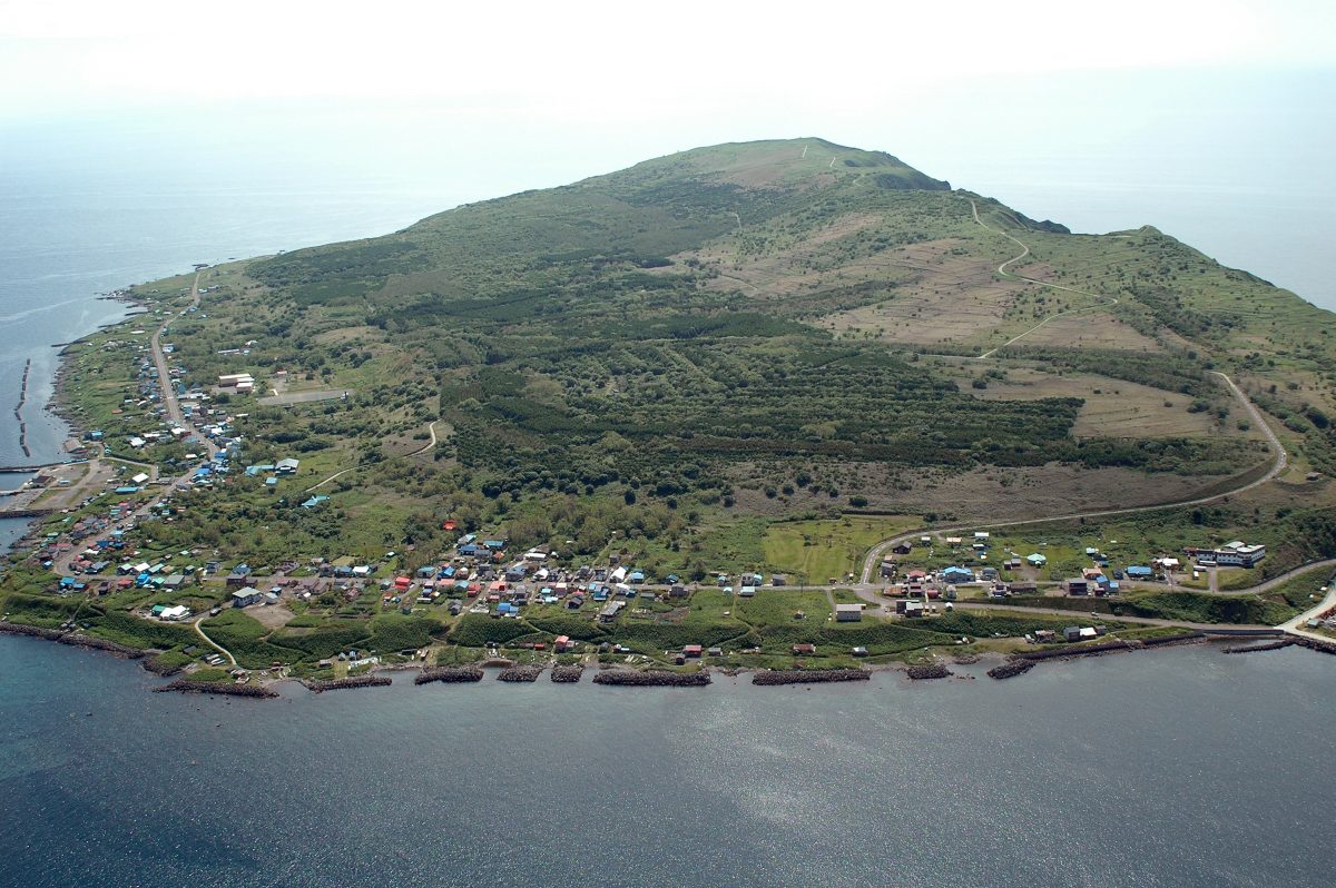 天売島の水源林