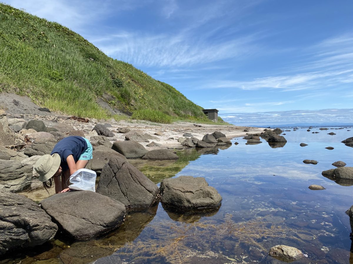 波音に耳を澄ませて