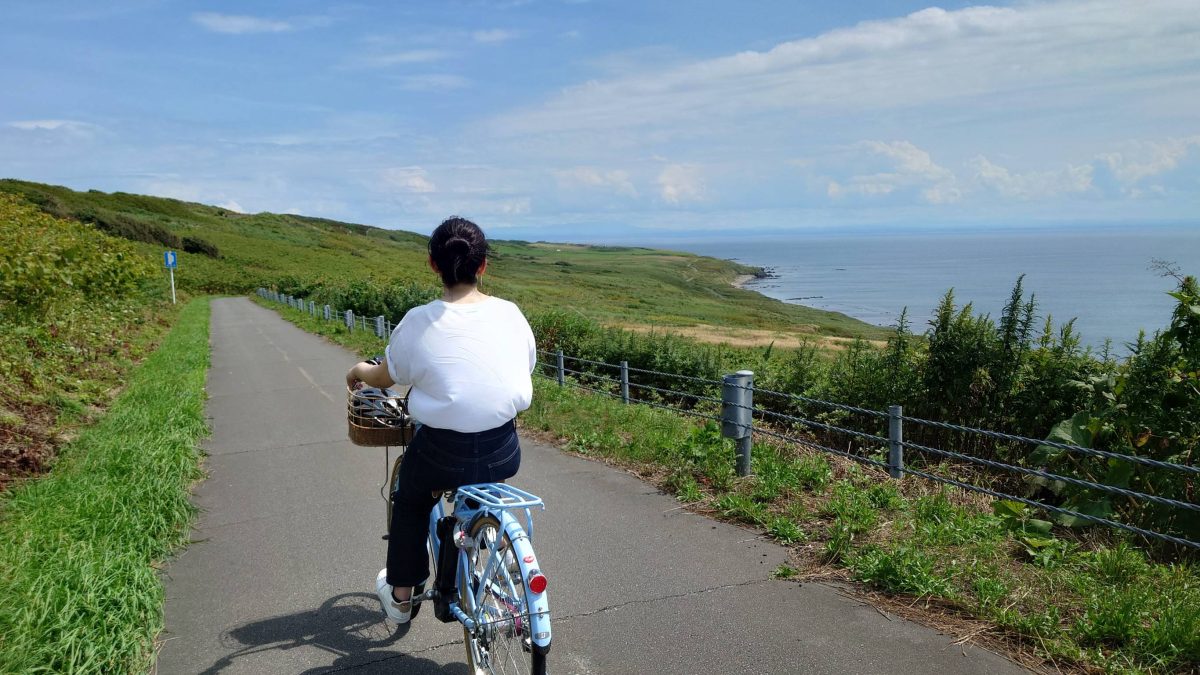 焼尻島の海岸線