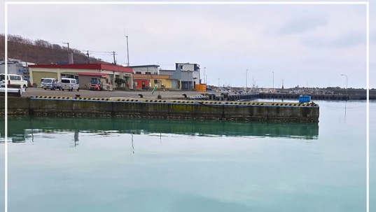 天売島で群来が確認されました　@羽幌町