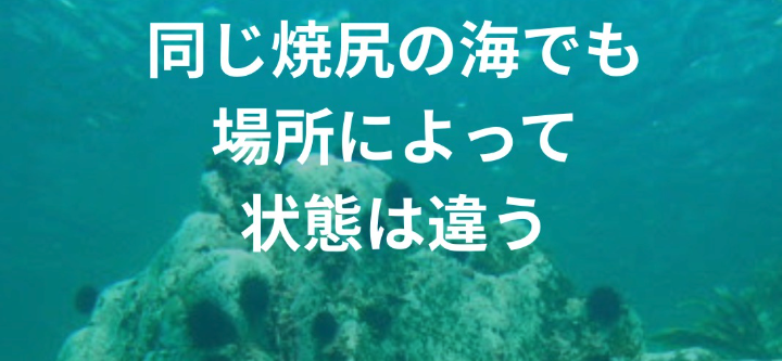 焼尻の海を見ていると　@unimoba.yagishiri