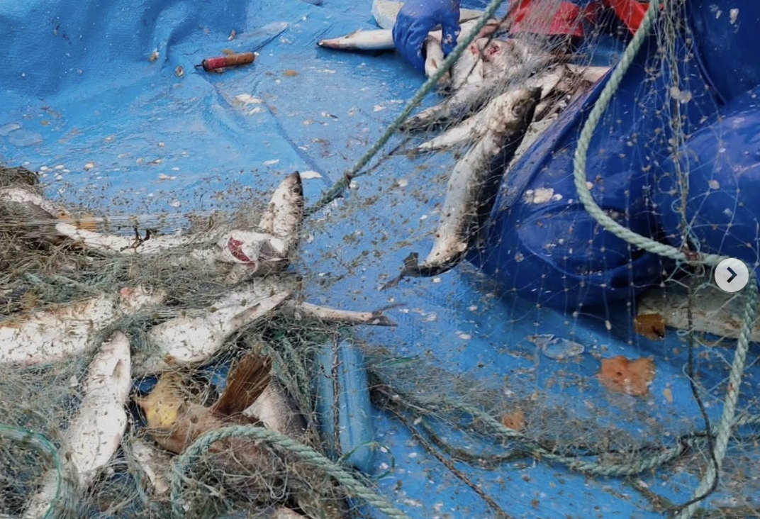 焼尻の海もすっかり春です。@unimoba.yagishiri