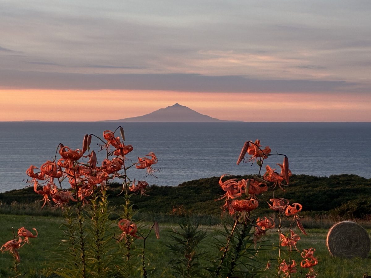 絶景の焼尻島