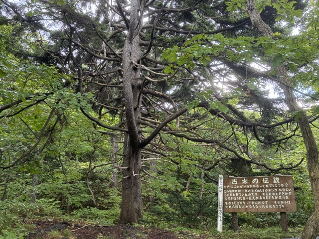 焼尻島に伝わる民話　其の一