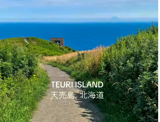 8月に入り、天売島も夏本番の日々を迎えています！@teuri.jp